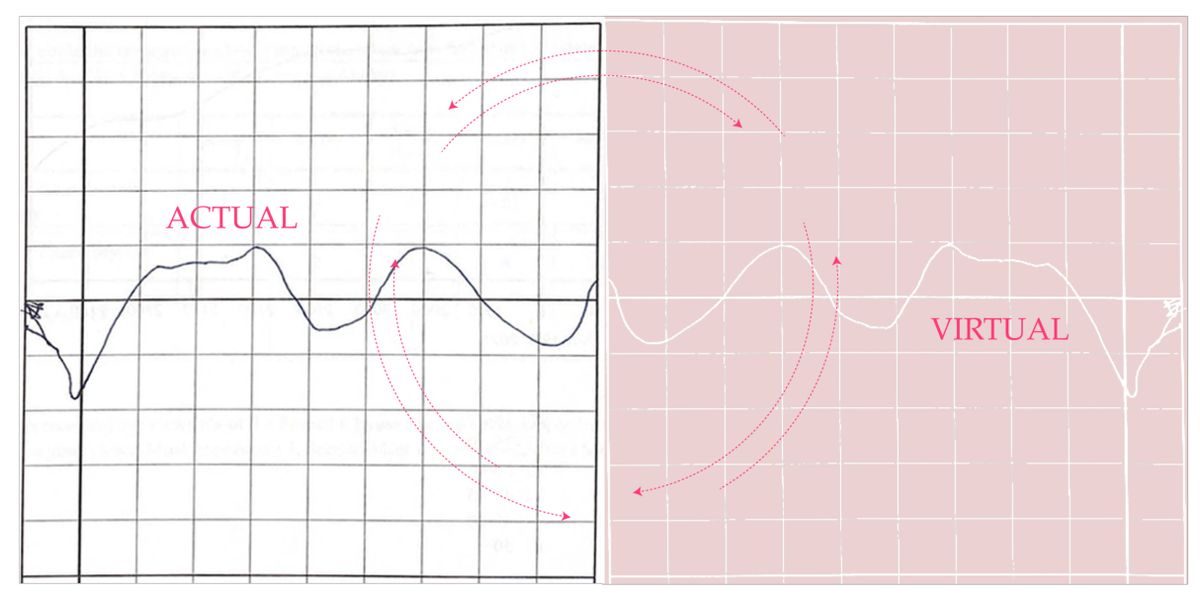 Data Renderings